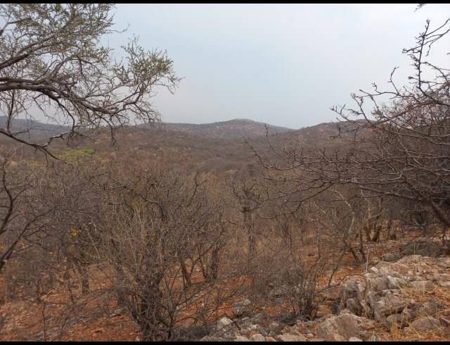 FARM FOR SALE IN MOPANE